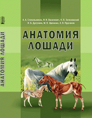 Анатомия лошади: учебник ISBN 978-5-906109-78-1